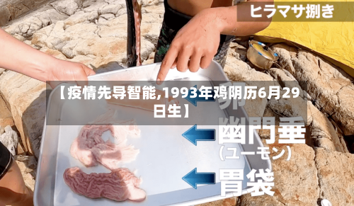 【疫情先导智能,1993年鸡阴历6月29日生】-第3张图片