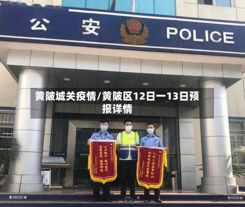 黄陂城关疫情/黄陂区12日一13日预报详情