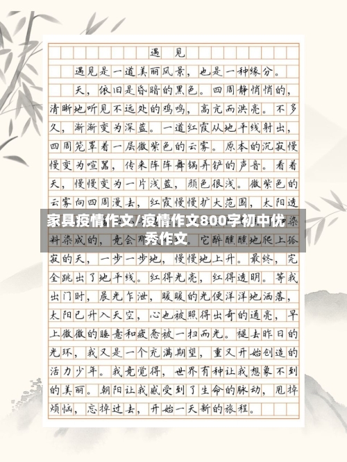 家具疫情作文/疫情作文800字初中优秀作文