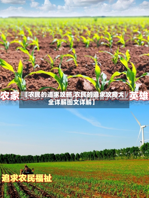 【农民的追求攻略,农民的追求攻略大全详解图文详解】