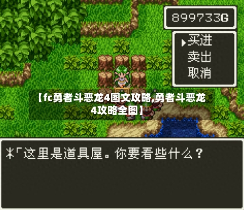 【fc勇者斗恶龙4图文攻略,勇者斗恶龙4攻略全图】-第2张图片