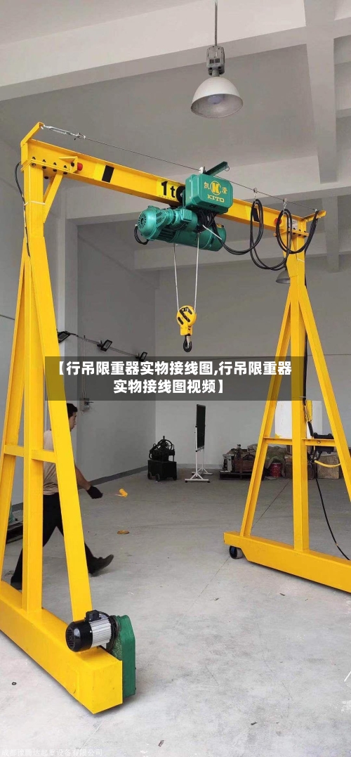 【行吊限重器实物接线图,行吊限重器实物接线图视频】-第3张图片