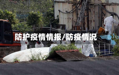 防护疫情情报/防疫情况-第2张图片