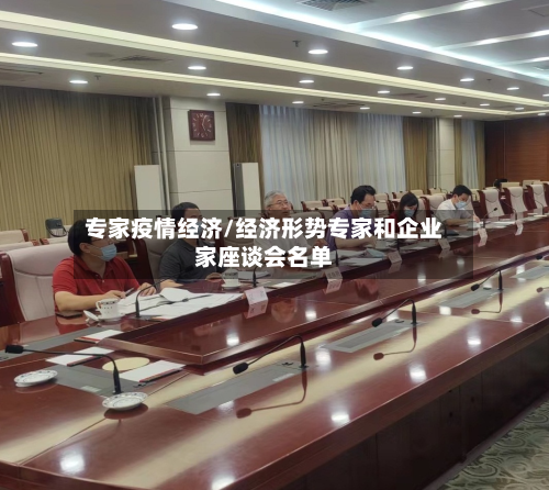 专家疫情经济/经济形势专家和企业家座谈会名单