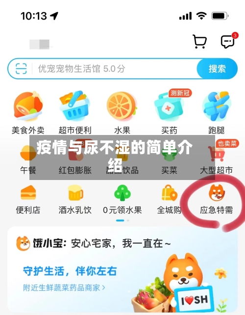 疫情与尿不湿的简单介绍